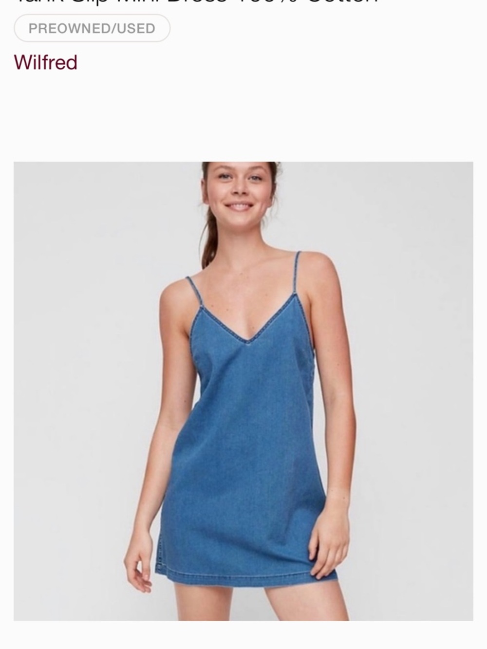 Wilfred Free Vivienne Blue Denim Mini Dress